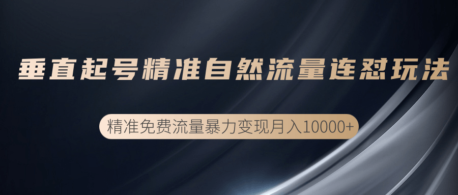垂直起号精准自然流量连爆玩法，精准引流暴力变现月入10000+-连烟牍库