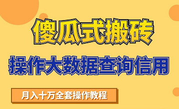 搬砖操作大数据查询信用项目赚钱教程，祝你快速月入6万-连烟牍库