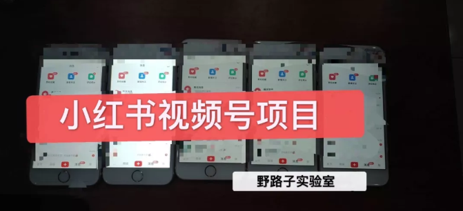 野路子小红书视频号1.0项目，直接上手操作就能赚钱的视频号项目-连烟牍库