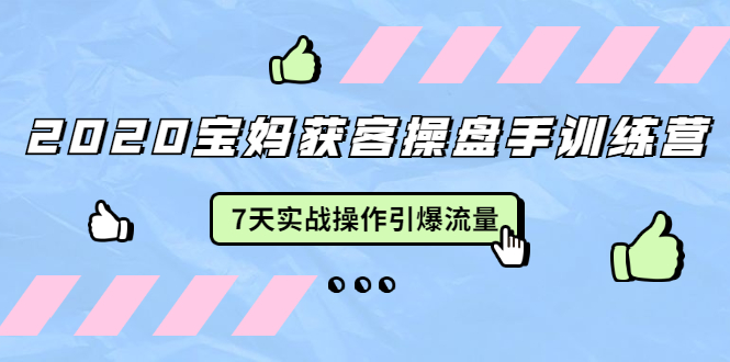 2020宝妈获客操盘手训练营：7天实战操作引爆 母婴、都市、购物宝妈流量-连烟牍库