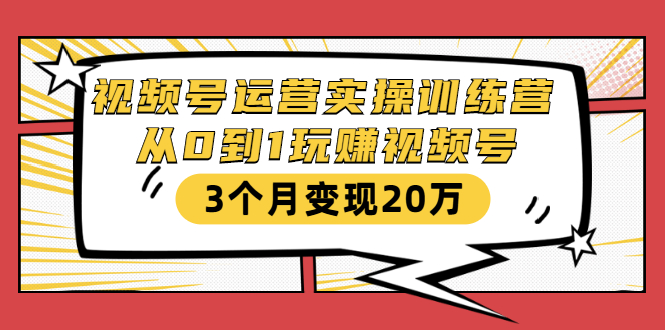 视频号运营实操训练营：从0到1玩赚视频号，3个月变现20万-连烟牍库