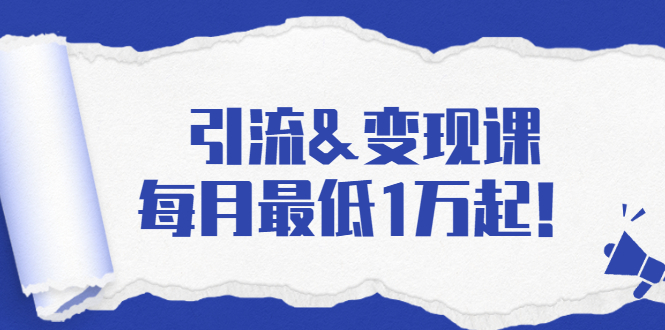 引流&变现课：分享一整套流量方法以及各个渠道收入，每月最低1万起！-连烟牍库