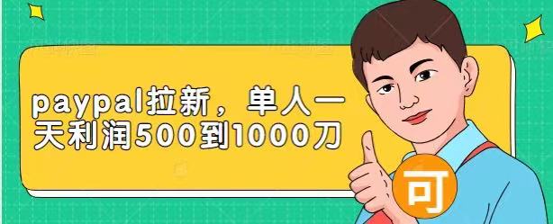 Paypal拉新赚美刀项目，单人一天利润500-1000刀【视频课程】-连烟牍库
