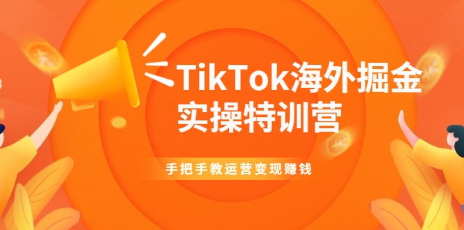 TikTok海外掘金实操特训营：手把手教运营变现赚钱-连烟牍库