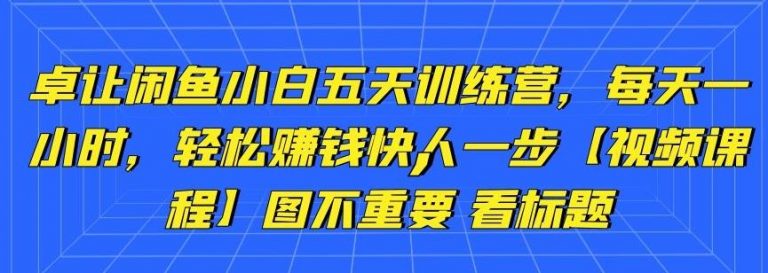 卓让闲鱼小白五天训练营，每天一小时，轻松赚钱快人一步-连烟牍库
