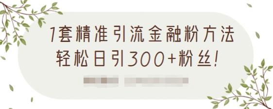 1套精准引流金融粉方法，轻松日引300+粉丝-连烟牍库