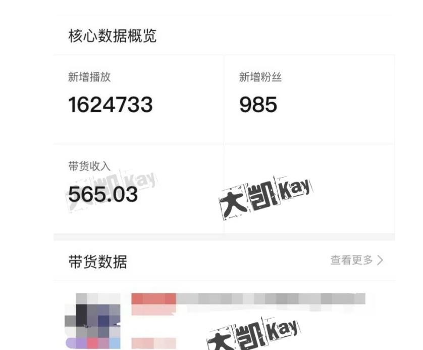 大凯进阶圈新玩法之拼多多视频玩法，利润大概一个号一天能有500~1500的左右!-连烟牍库