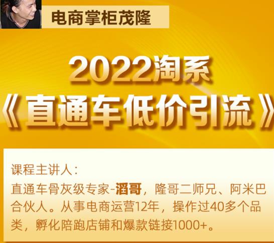 茂隆2022直通车低价引流玩法，教大家如何低投入高回报的直通车玩法-连烟牍库