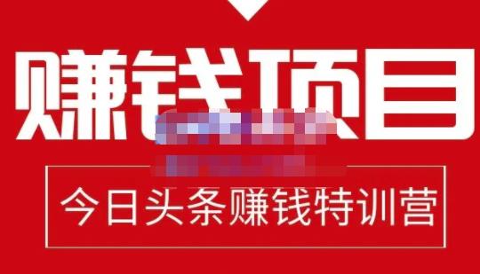 懒人领域·今日头条项目玩法，头条中视频项目，单号收益在50—500可批量-连烟牍库