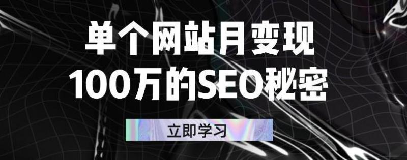 单个网站月变现100万的SEO秘密，百分百做出赚钱站点-连烟牍库