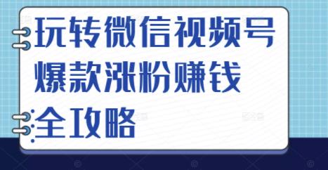 玩转微信视频号爆款涨粉赚钱全攻略，让你快速抓住流量风口，收获红利财富-连烟牍库