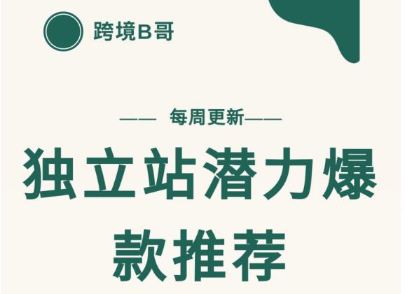 【跨境B哥】独立站潜力爆款选品推荐，测款出单率高达百分之80-连烟牍库