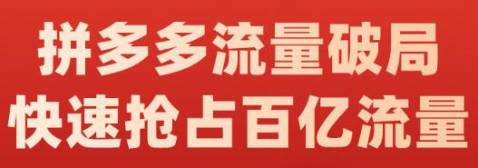 阿杰·拼多多流量破局:如何打黑标，爆款的思路，拼多多流量框架，快速抢占百亿流量-连烟牍库