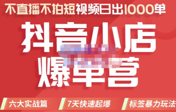 推易电商·2022年抖音小店爆单营，不直播、不拍短视频、日出1000单，暴力玩法-连烟牍库