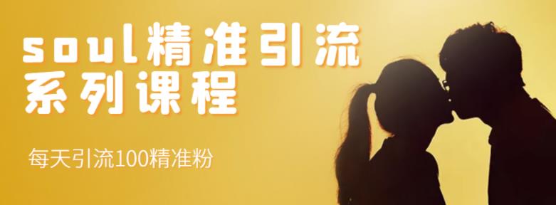 soul精准引流系列课程，每天引流100精准粉-连烟牍库