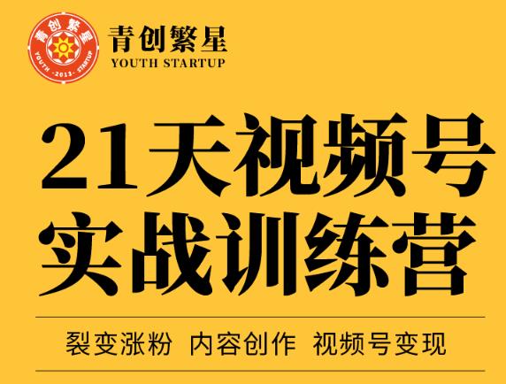张萌21天视频号实战训练营，裂变涨粉、内容创作、视频号变现 价值298元-连烟牍库