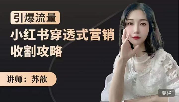 苏歆：小红书穿透式营销收割攻略，引爆流量，助你玩转小红书-连烟牍库