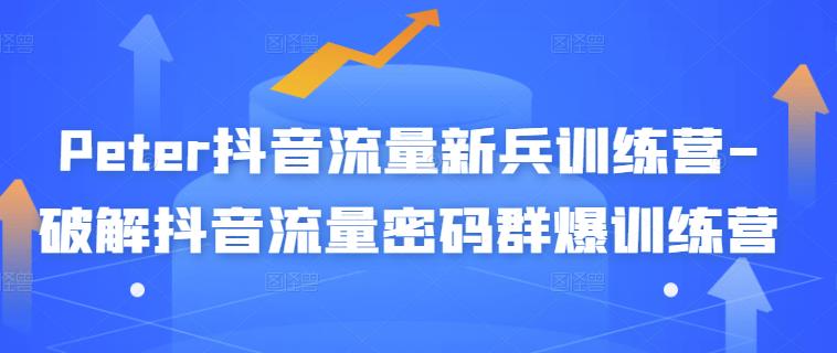 Peter抖音流量新兵训练营-破解抖音流量密码群爆训练营（新兵）-连烟牍库