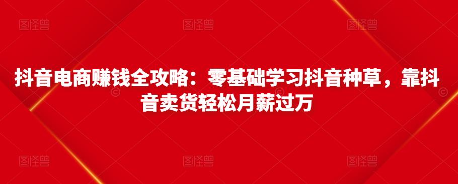 抖音电商赚钱全攻略：零基础学习抖音种草，靠抖音卖货轻松月薪过万-连烟牍库