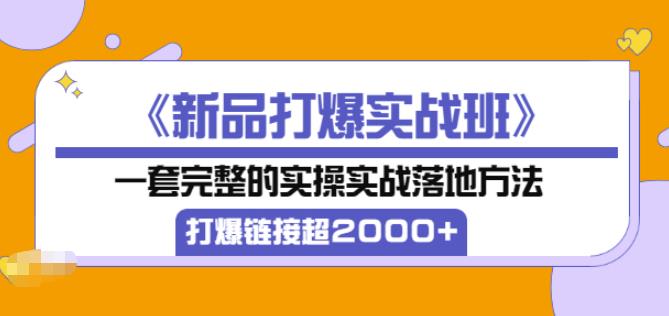 凌童《新品打爆实战班》,一套完整的实操实战落地方法，打爆链接超2000+（28节课)-连烟牍库