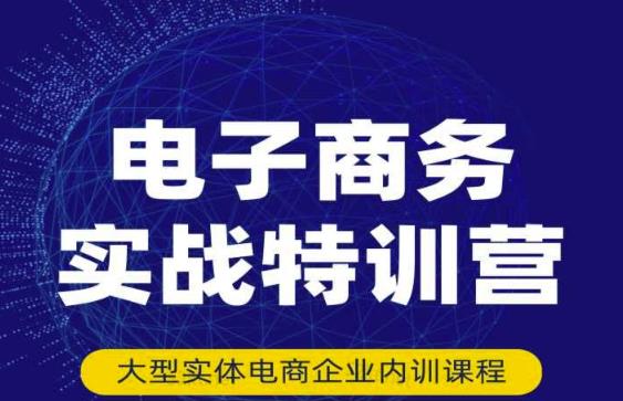 民赛电气内部出品：电子商务实战特训营，全方位带你入门电商，308种方式玩转电商-连烟牍库