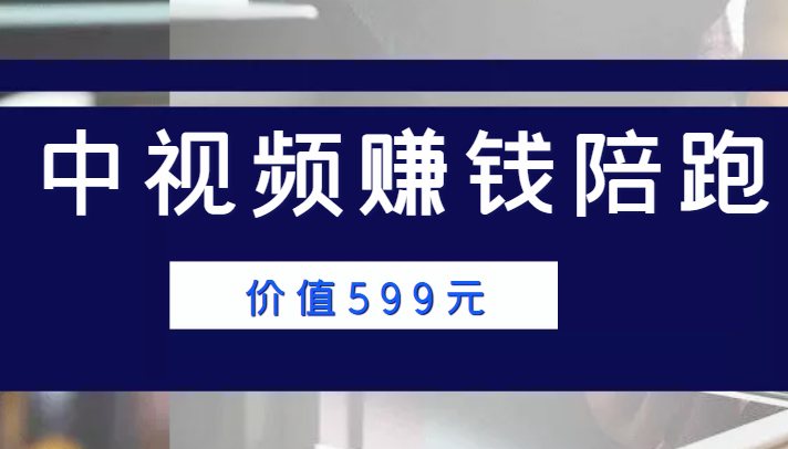中视频赚钱陪跑，卖中视频账户赚钱收益陪跑项目（价值599元）-连烟牍库