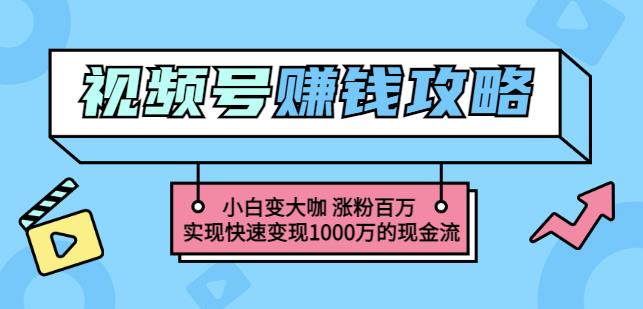 玩转微信视频号赚钱：小白变大咖涨粉百万实现快速变现1000万的现金流-连烟牍库