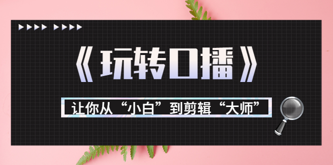 月营业额700万+大佬教您《玩转口播》让你从“小白”到剪辑“大师”-连烟牍库
