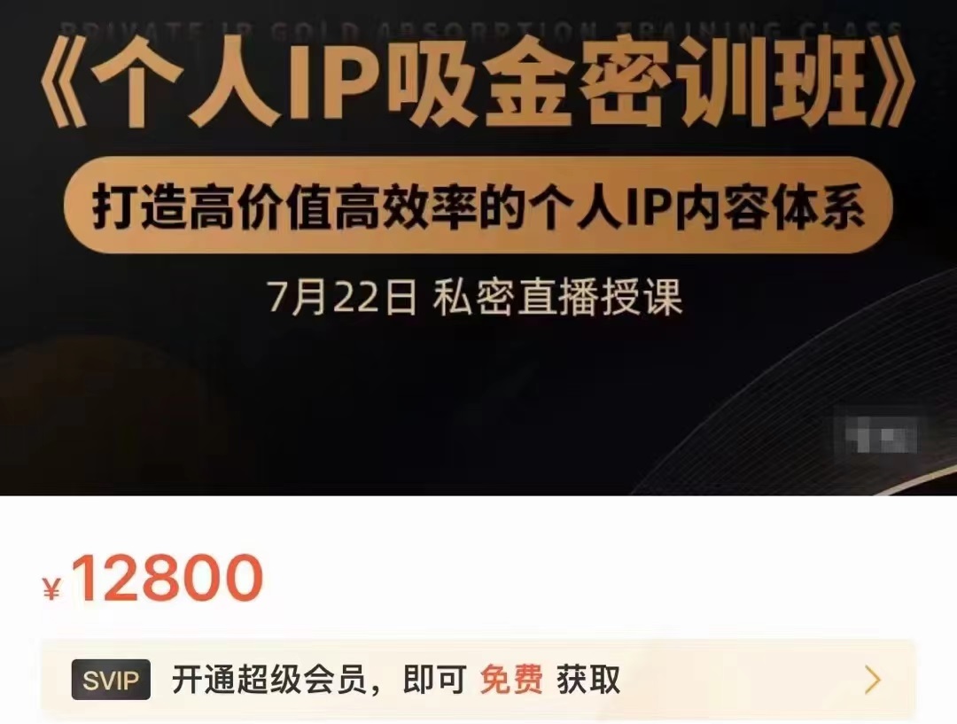 个人IP吸金密训班，打造高价值高效率的个人IP内容体系（价值12800元）-连烟牍库