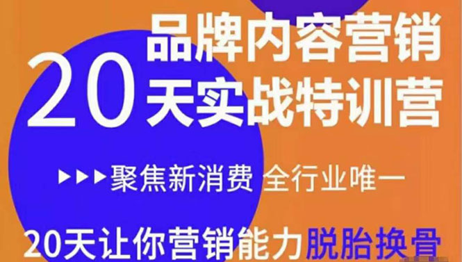 《内容营销实操特训营》20天让你营销能力脱胎换骨（价值3999）-连烟牍库