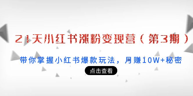 21天小红书涨粉变现营（第3期）：带你掌握小红书爆款玩法，月赚10W+秘密-连烟牍库