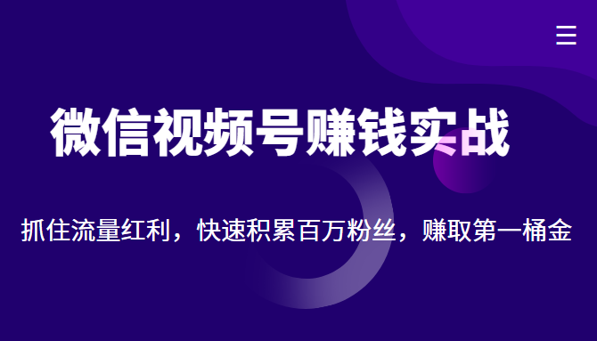微信视频号赚钱实战：抓住流量红利，快速积累百万粉丝，赚取你的第一桶金-连烟牍库