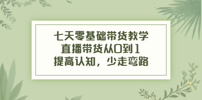 七天零基础带货教学，直播带货从0到1，提高认知，少走弯路-连烟牍库