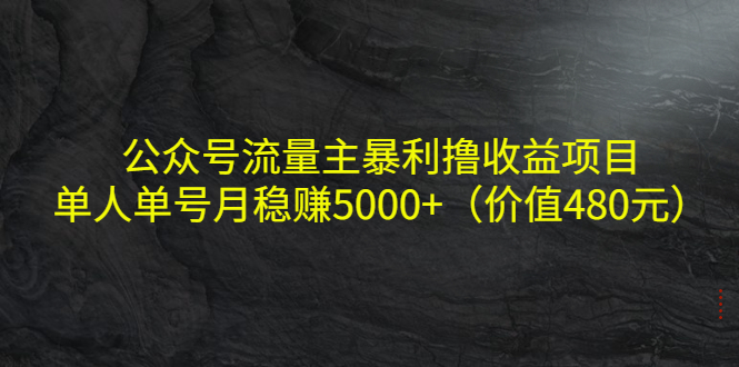 公众号流量主暴利撸收益项目，单人单号月稳赚5000+（价值480元）-连烟牍库