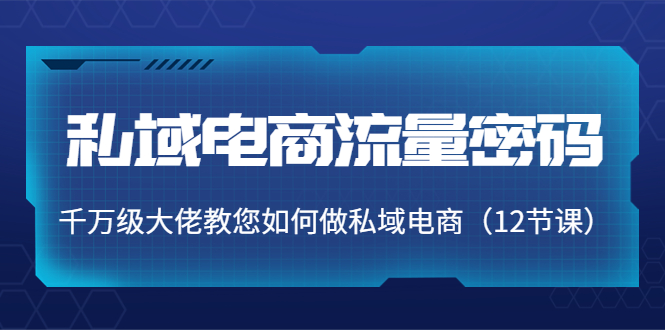 私域电商流量密码：千万级大佬教您如何做私域电商（12节课）-连烟牍库
