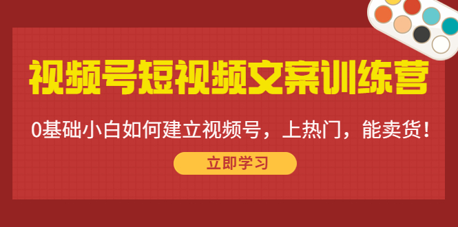 视频号短视频文案训练营：0基础小白如何建立视频号，上热门，能卖货！-连烟牍库