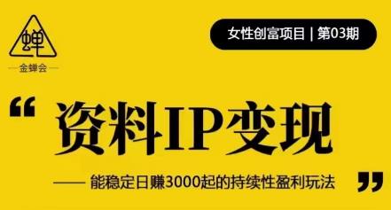资料IP变现，能稳定日赚3000起的持续性盈利玩法-连烟牍库