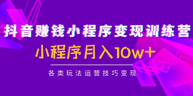 抖音赚钱小程序变现训练营：小程序月入10w+各类玩法运营技巧变现-连烟牍库
