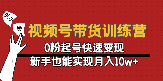 视频号带货训练营：0粉起号快速变现，新手也能实现月入10w+-连烟牍库