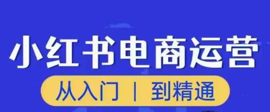 顽石小红书电商高阶运营课程，从入门到精通，玩法流程持续更新-连烟牍库