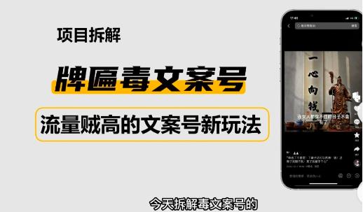 2023抖音快手毒文案新玩法，牌匾文案号，起号快易变现-连烟牍库