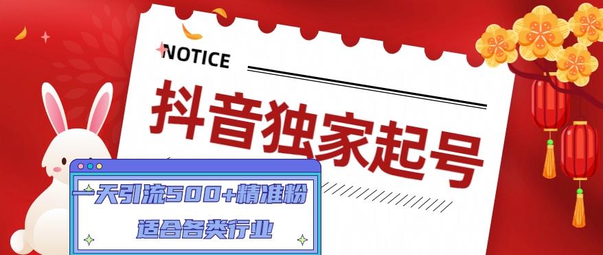 抖音独家起号，一天引流500+精准粉，适合各类行业（9节视频课）-连烟牍库