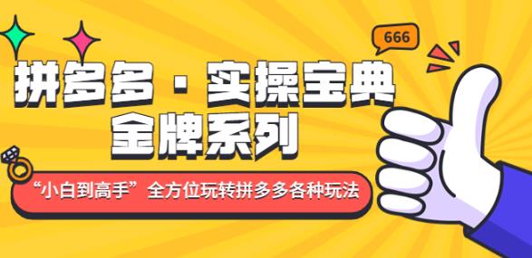 拼多多·实操宝典：金牌系列“小白到高手”带你全方位玩转拼多多各种玩法-连烟牍库