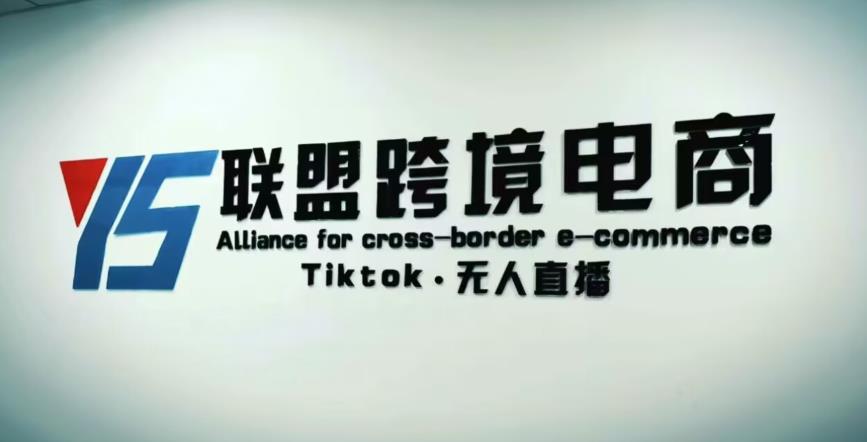 YS联盟·Tiktok无人直播，不出镜不剪辑不拍摄不发货无售后的跨境短视频躺赚玩法-连烟牍库