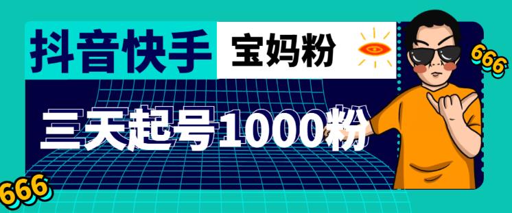 抖音快手三天起号涨粉1000宝妈粉丝的核心方法【详细玩法教程】-连烟牍库