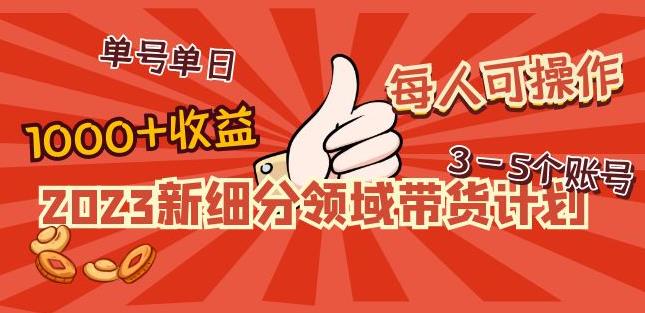 2023新细分领域带货计划：单号单日1000+收益不难，每人可操作3-5个账号-连烟牍库
