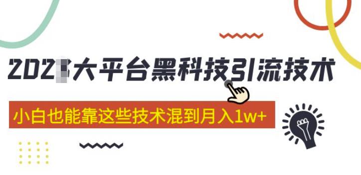 大平台黑科技引流技术，小白也能靠这些技术混到月入1w+(2022年的课程）-连烟牍库