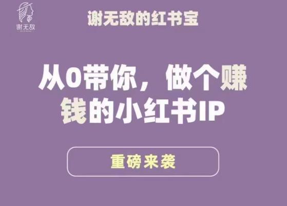 谢无敌·小红书运营大宝典，从0带你做个赚钱的小红书IP-连烟牍库