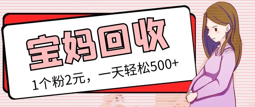 最新宝妈粉回收变现计划及胎教音乐高端变现玩法全套教程！（非老玩法）-连烟牍库