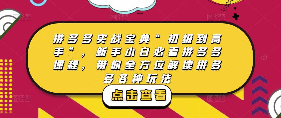 拼多多实战宝典“初级到高手”，新手小白必看拼多多课程，带你全方位解读拼多多各种玩法-连烟牍库